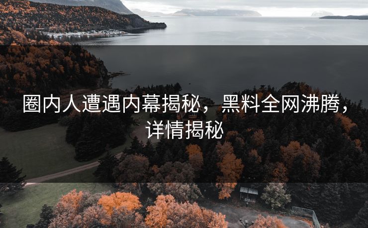 圈内人遭遇内幕揭秘，黑料全网沸腾，详情揭秘