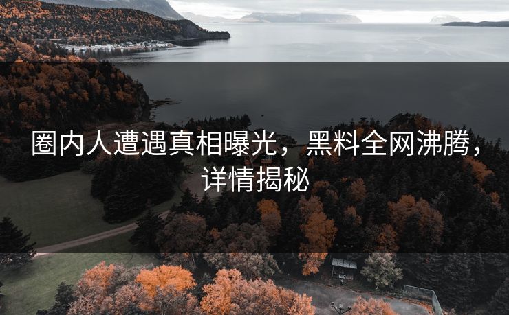 圈内人遭遇真相曝光，黑料全网沸腾，详情揭秘  第1张