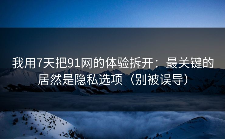 我用7天把91网的体验拆开：最关键的居然是隐私选项（别被误导）